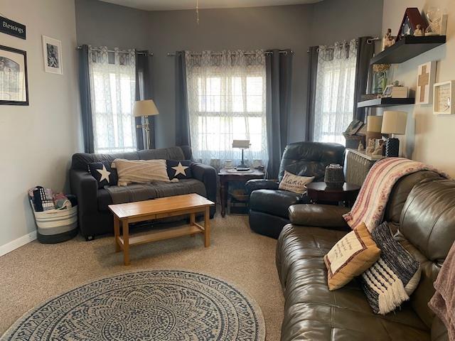 living area featuring carpet floors