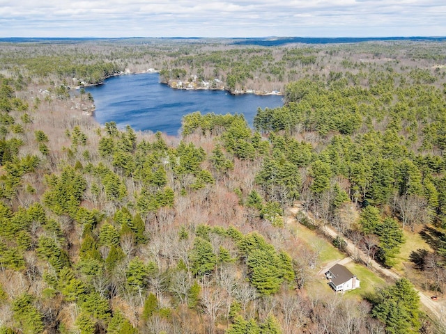 bird's eye view featuring a water view and a wooded view