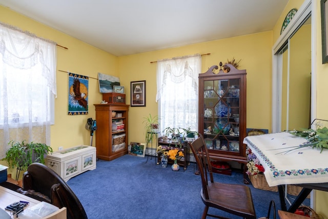 living area with carpet flooring