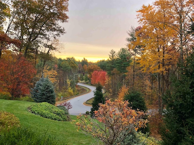 view of home's community with a lawn