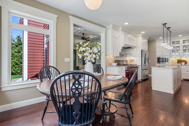 dining room with baseboards, dark wood-style floors, and a healthy amount of sunlight