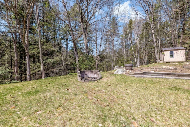 view of yard featuring an outdoor structure and a shed