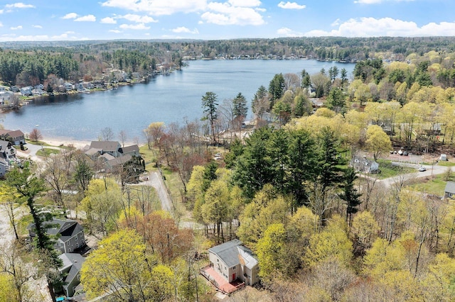drone / aerial view with a water view and a forest view