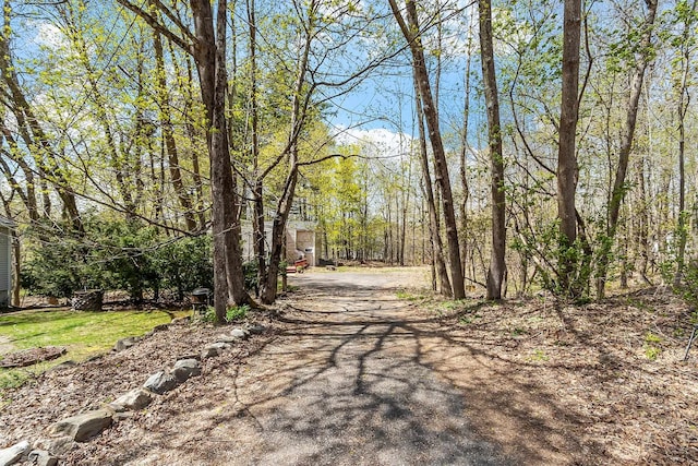 view of road with driveway
