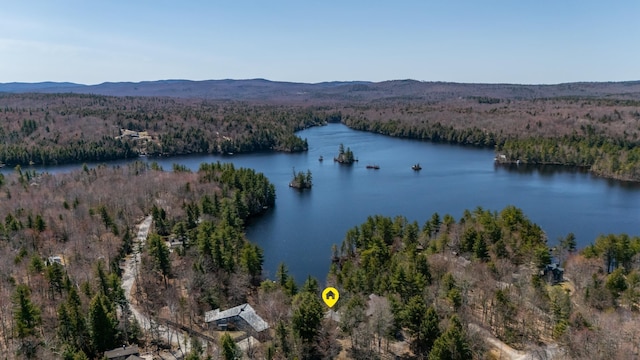 birds eye view of property featuring a view of trees and a water view