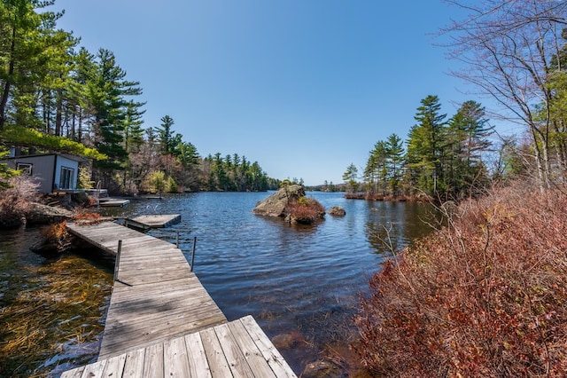 dock area featuring a water view
