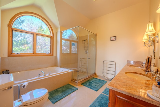 full bath featuring a sink, a garden tub, a stall shower, and lofted ceiling