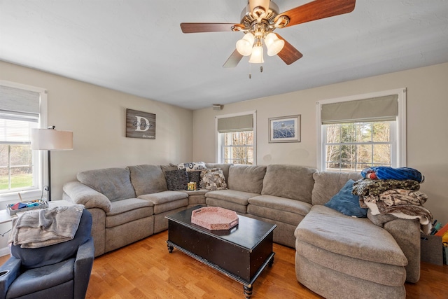 living area with a ceiling fan, plenty of natural light, and wood finished floors