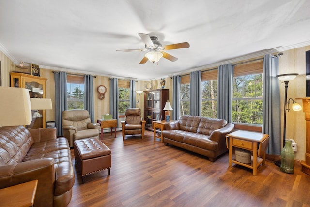 living room with crown molding, ceiling fan, a baseboard heating unit, and wood finished floors