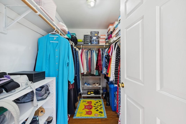 spacious closet featuring wood finished floors