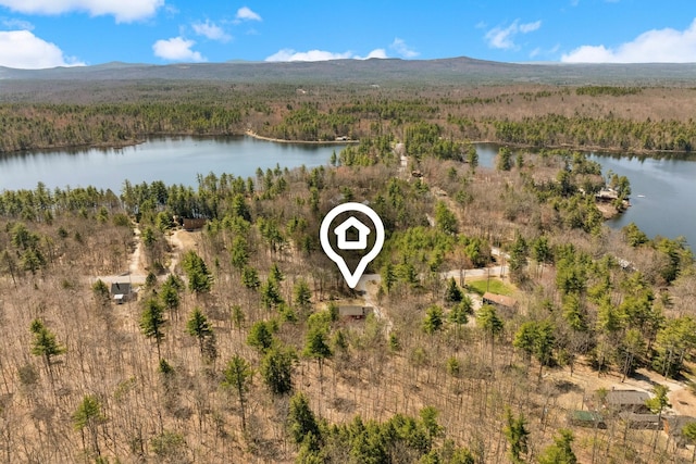 drone / aerial view with a water view and a view of trees
