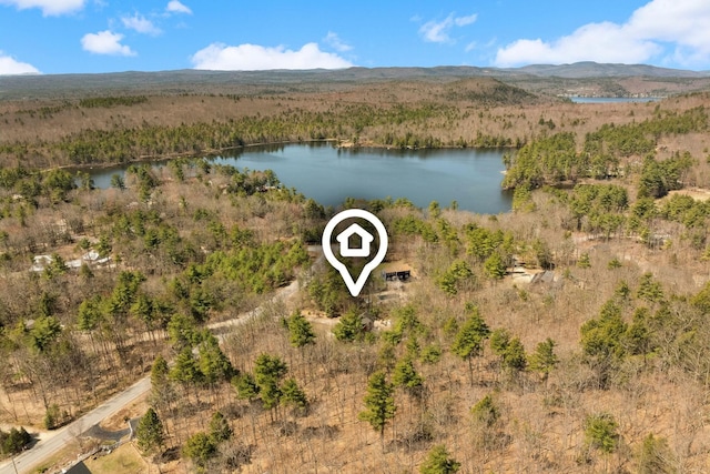 birds eye view of property with a view of trees and a water and mountain view
