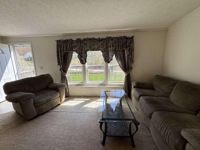 living room with ornamental molding, carpet, and a textured ceiling