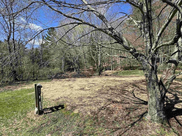 view of yard featuring a forest view