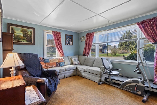 living room with carpet floors and ornamental molding