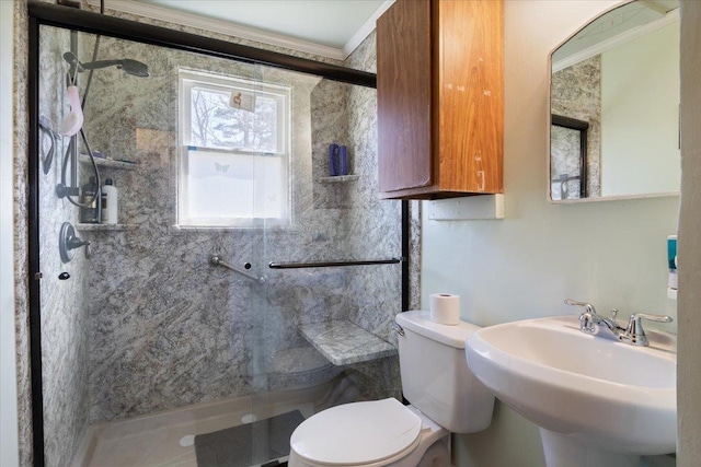 full bathroom with crown molding, a sink, a stall shower, and toilet