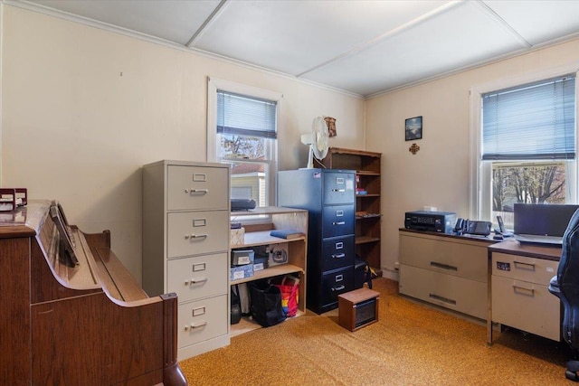 office space featuring ornamental molding
