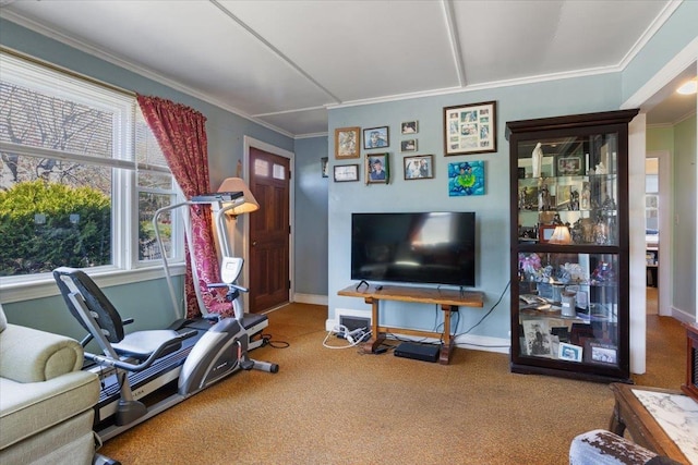 exercise room with carpet flooring, baseboards, and ornamental molding