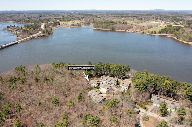 birds eye view of property with a water view and a forest view