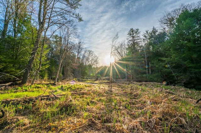 view of nature