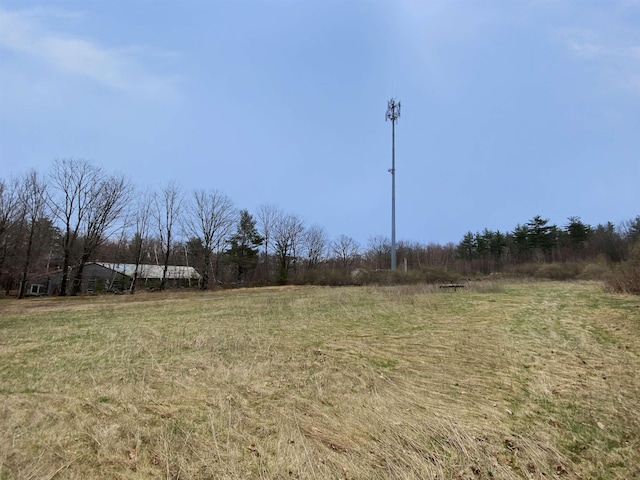 view of yard with a rural view