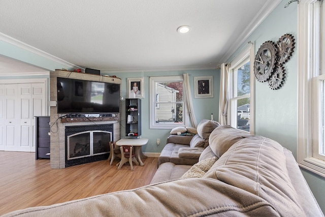 living area featuring crown molding, baseboards, wood finished floors, and a fireplace
