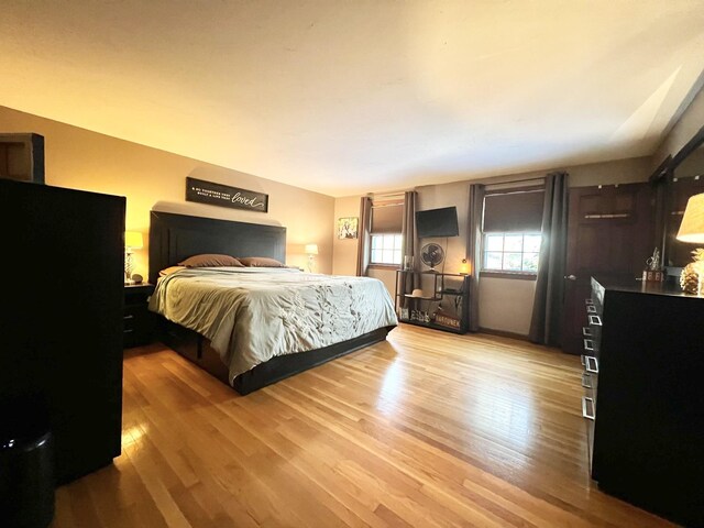 12 Nathaniel Dr, Amherst, NH 03031 - bedroom featuring light wood finished floors
