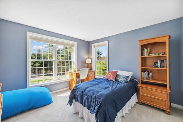 bedroom featuring baseboards and carpet