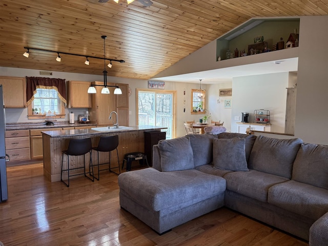 living room with track lighting, wooden ceiling, wood finished floors, and lofted ceiling