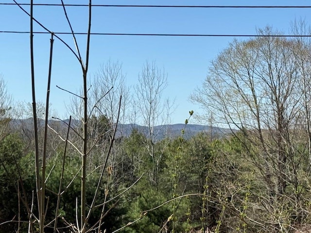 property view of mountains with a view of trees