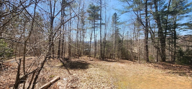 view of landscape featuring a view of trees