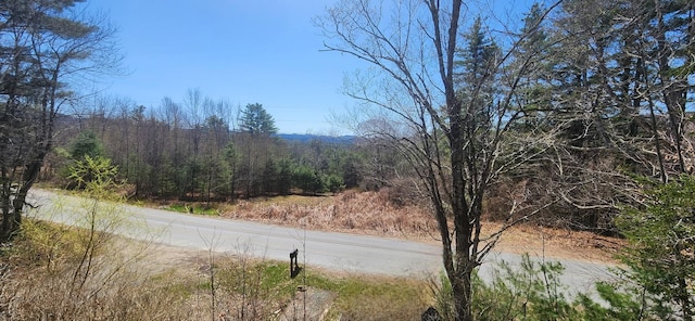 view of road with a wooded view