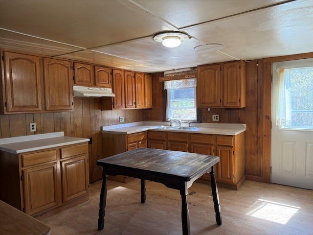 kitchen featuring light wood-type flooring, a sink, under cabinet range hood, and brown cabinets