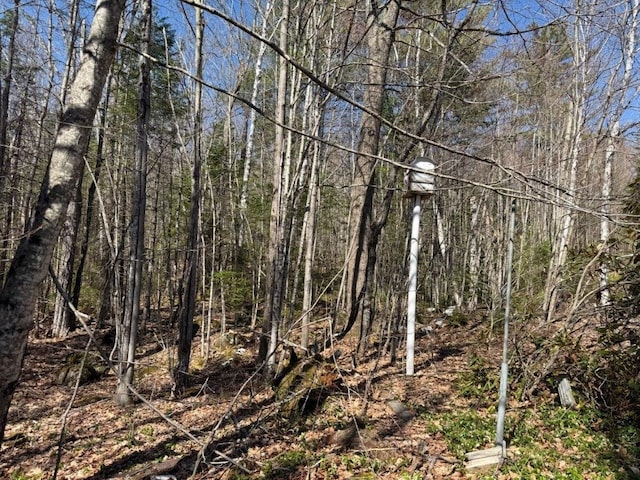 view of nature