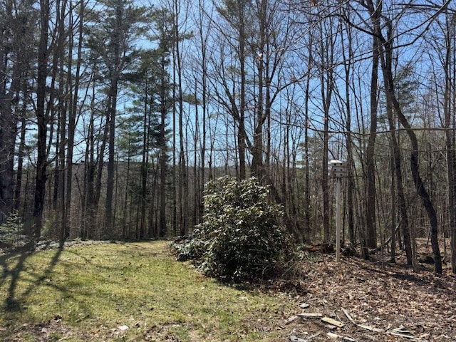 view of nature featuring a forest view