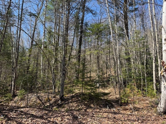 view of local wilderness featuring a view of trees