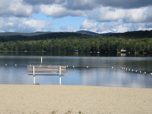 property view of water with a wooded view