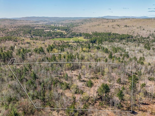 aerial view with a mountain view and a forest view