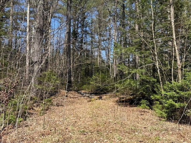 view of local wilderness