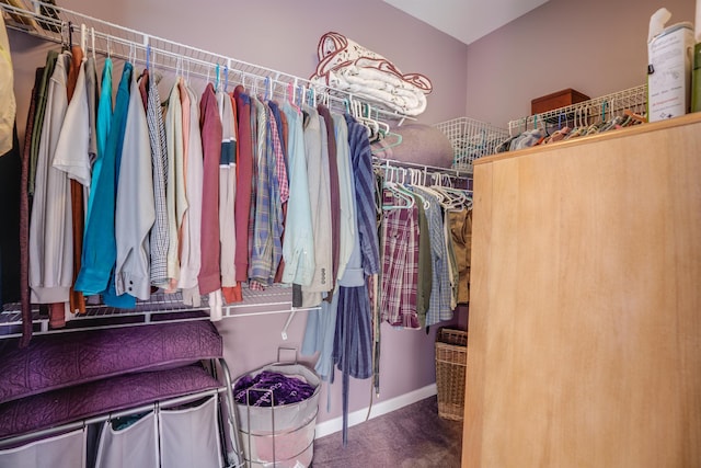 view of spacious closet