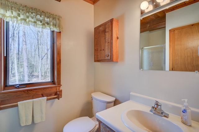 bathroom featuring vanity, a shower stall, and toilet