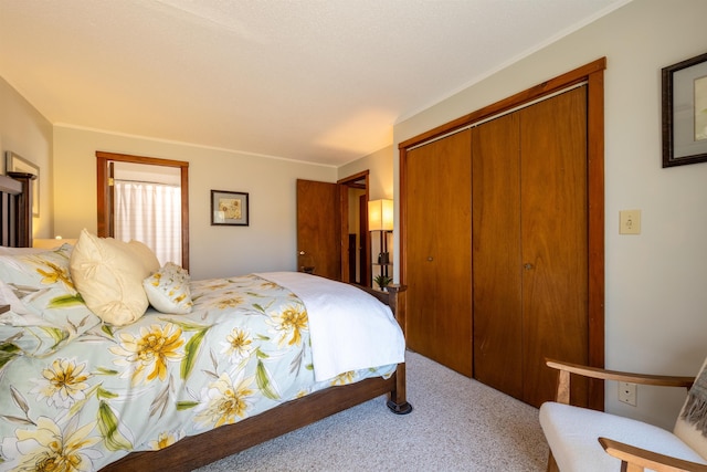 bedroom featuring carpet floors and a closet
