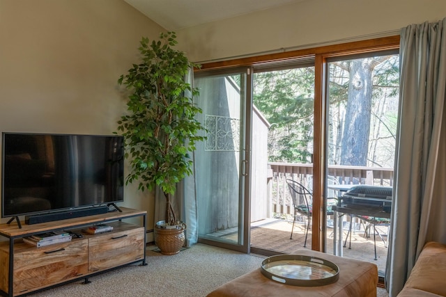 carpeted living room with a healthy amount of sunlight