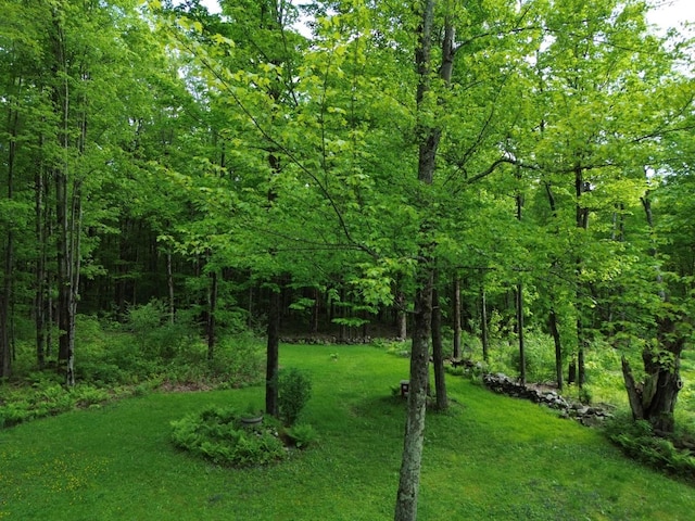 195 Bull Run Rd, Lincoln, VT 05443 - view of grassy yard with a wooded view