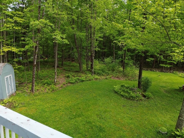 195 Bull Run Rd, Lincoln, VT 05443 - view of grassy yard with a forest view