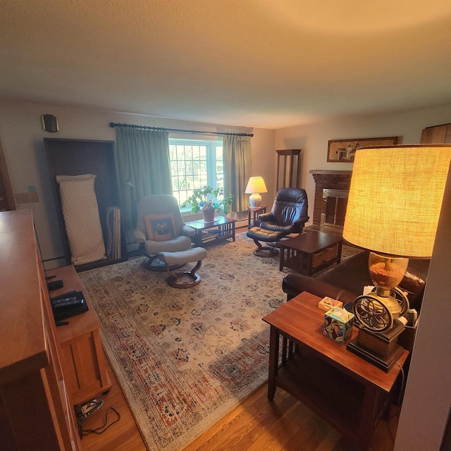 living room with wood finished floors