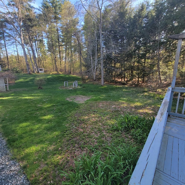 view of yard