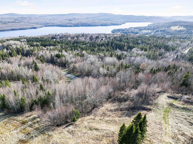- Dorman Road, Pittsburg, NH 03592