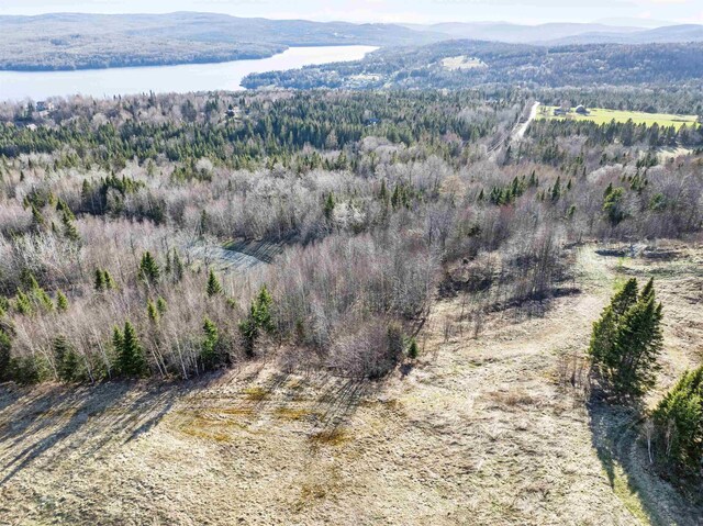 - Dorman Road, Pittsburg, NH 03592