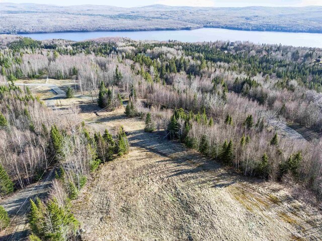 - Dorman Road, Pittsburg, NH 03592